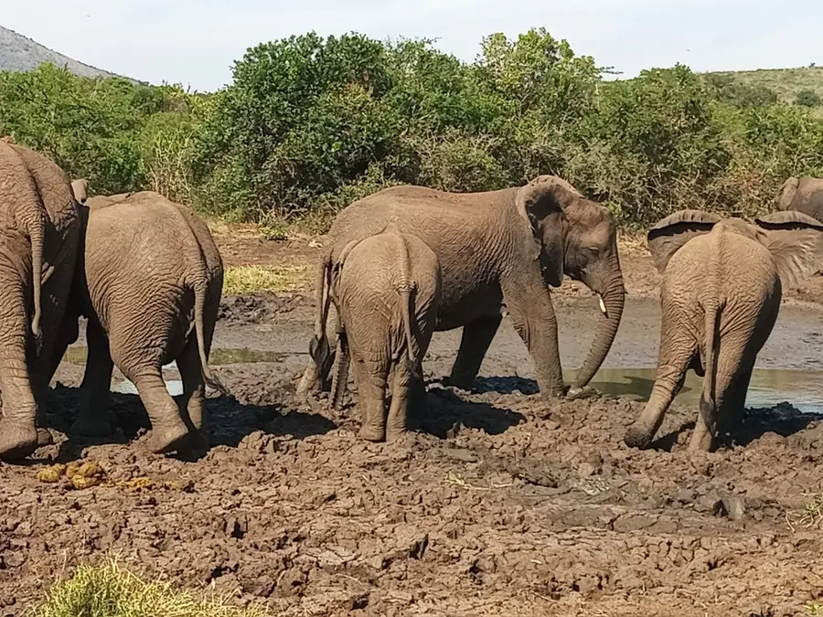 Zululand